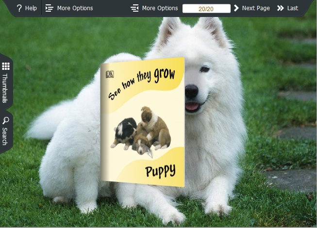 Windows 8 puppy Theme for Wise PDF to FlipBook pro full