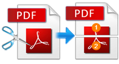 cut_pdf