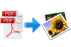 convert_pdf_to_image